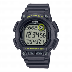 WS-2100H-8A